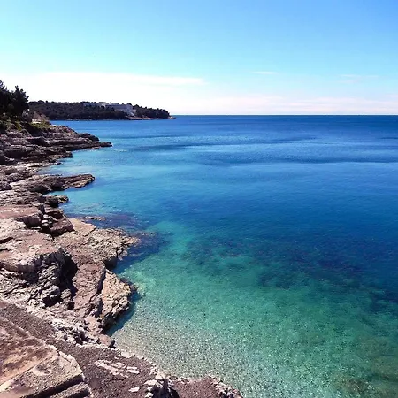 Caveromane Mini * Póla